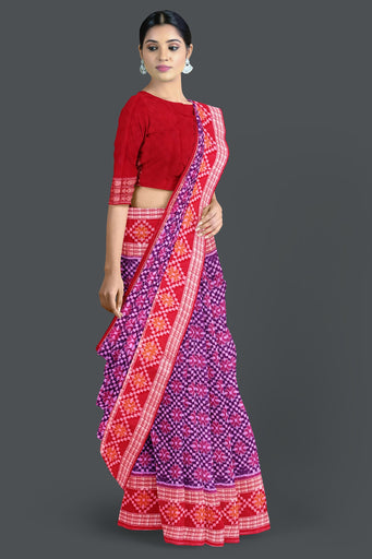 Purple Big Border Bandha Saree